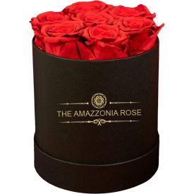 Amazzonia Orsetto di Rose, Orso di Rose 25 Cm con Box - Regalo San  Valentino per Lei Fidanzata, Anniversario, Moglie, Compleanno (Orsetto  Rosso) : : Casa e cucina